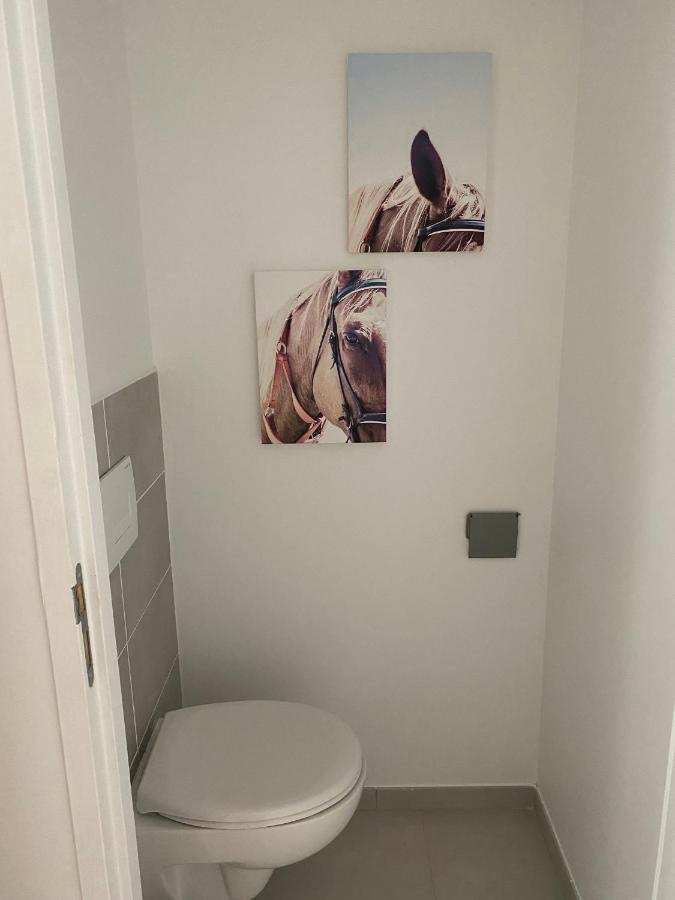 Opale Sarlat Plein Sud Apartment Екстериор снимка